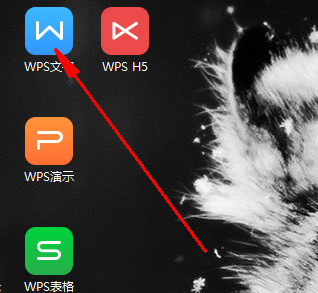Wps文字如何设置双面打印及正反页码